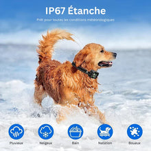 Le 1er Collier Anti-Fugue GPS SANS ABONNEMENT