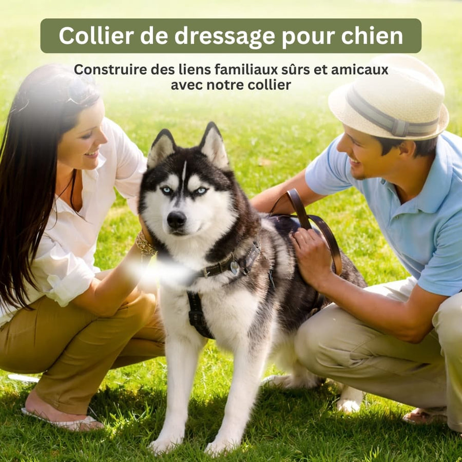 Collier de Dressage PuppyCare™ - Sans Choc Électrique