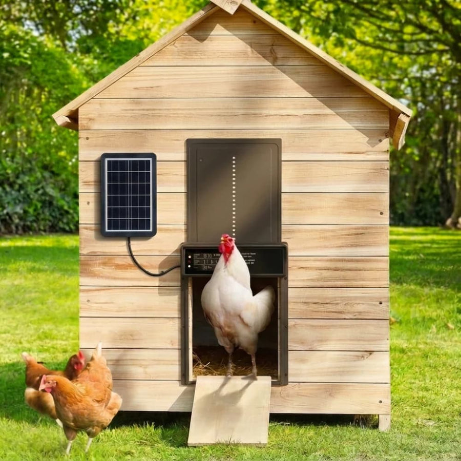 Porte Automatique Poulailler Solaire
