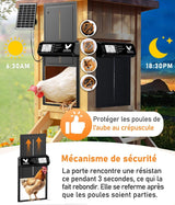Porte Automatique Poulailler Solaire