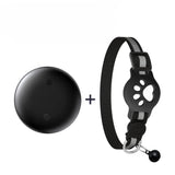 Collier GPS Sans Abonnement pour chat, IOS & Android