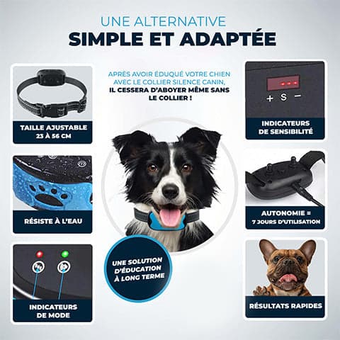 Collier Anti Aboiement PuppyCare  - Sans Choc Électrique