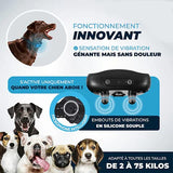 Collier Anti Aboiement PuppyCare  - Sans Choc Électrique