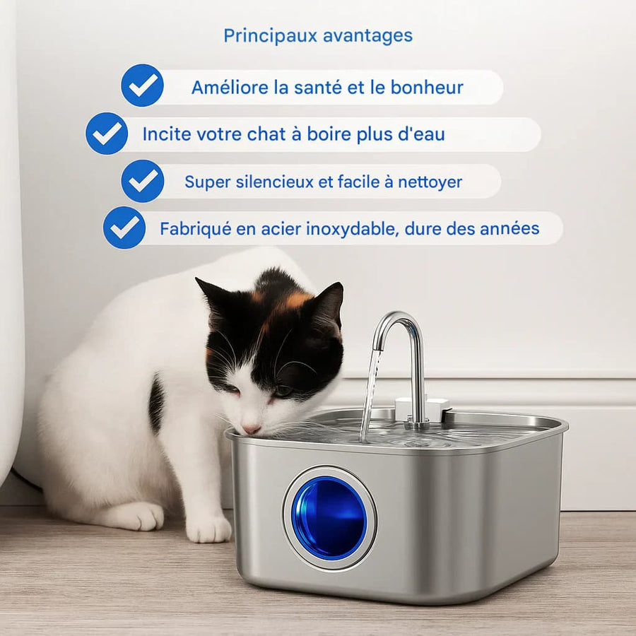 Fontaine à eau chat inox | Hydratation silencieuse & durable