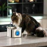Filtres fontaine à eau chat inox