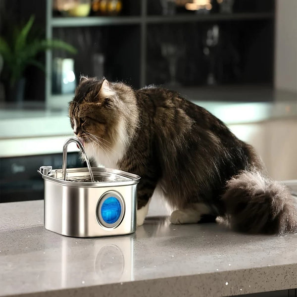 Fontaine à eau chat inox | Hydratation silencieuse & durable