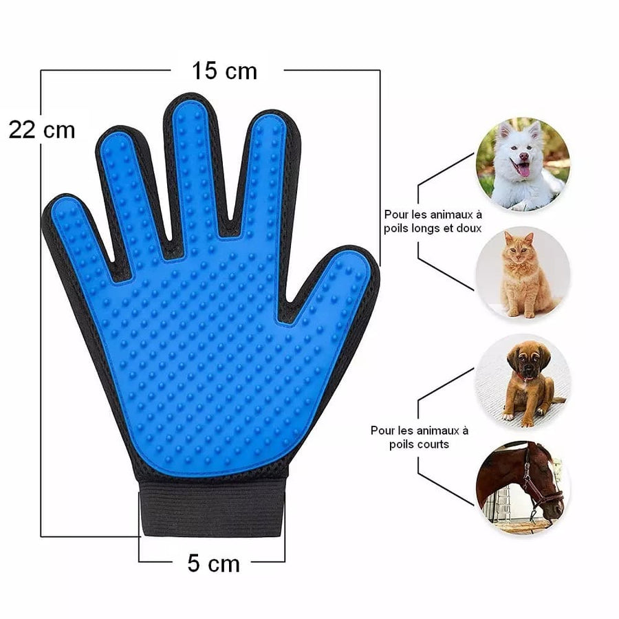 gant de brossage / toilettage pour chats et chiens