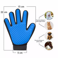 gant de brossage / toilettage pour chats et chiens