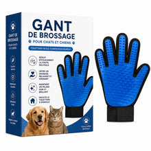 gant de brossage / toilettage pour chats et chiens
