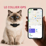 Collier GPS Sans Abonnement pour chat, IOS & Android